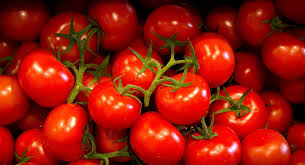 Tomaten Trost 5 Kg