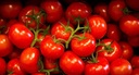 Tomaten Trost 5 Kg