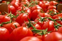 Tomaten Trost 5 Kg